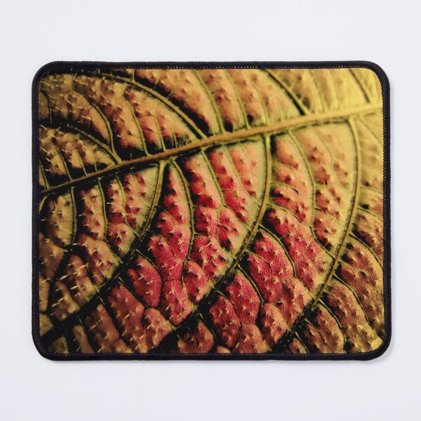 Item preview, Autumn Leaf designed and sold by Jean Gregory Evans.