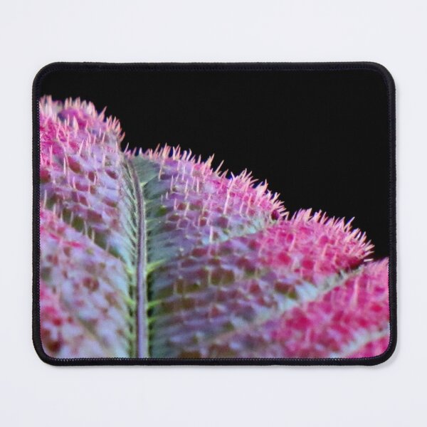 Item preview, Prickles designed and sold by Jean Gregory Evans.