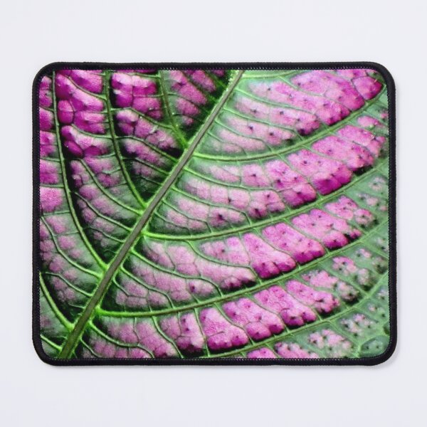 Item preview, Iridescent Colorful Leaf designed and sold by Jean Gregory Evans.