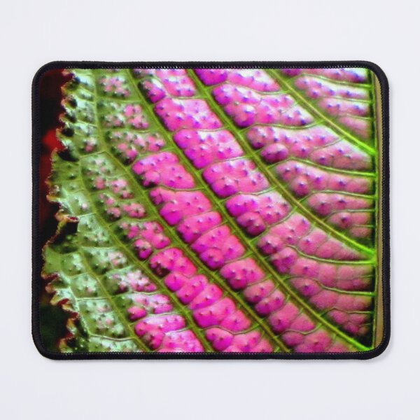 Item preview, Parallels designed and sold by Jean Gregory Evans.