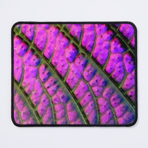 Item preview, Way To Grow designed and sold by Jean Gregory Evans.
