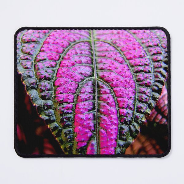 Item preview, Mmmm ... Metallic designed and sold by Jean Gregory Evans.