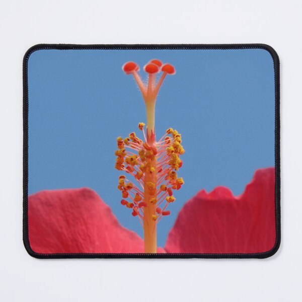 Item preview, We Dance! designed and sold by Jean Gregory Evans.