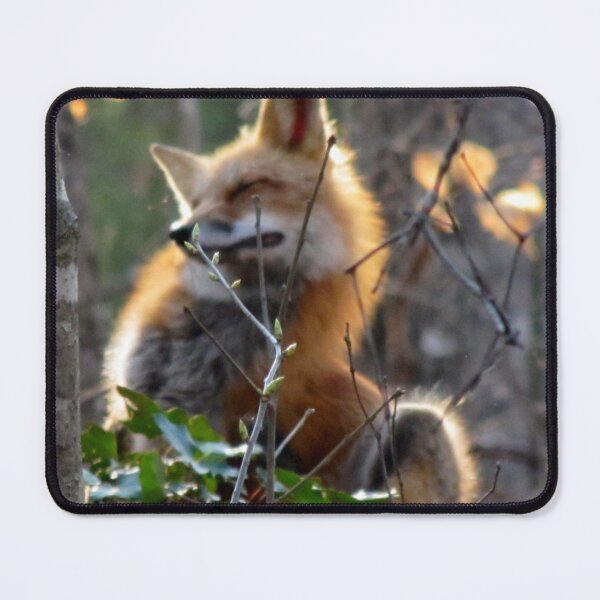 Item preview, Next Pruning Project designed and sold by Jean Gregory Evans.