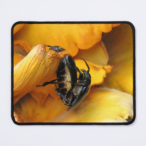 Item preview, Prionus Laticollis Mating designed and sold by Jean Gregory Evans.
