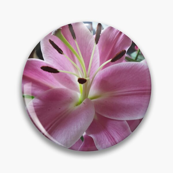 Item preview, Very beautiful lily in pink designed and sold by Bettina2311.