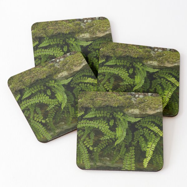 Item preview, Cute wild plants designed and sold by Sofia Lopes.