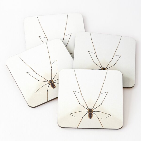 Item preview, Spider Logo (Edited) designed and sold by Uzeir.