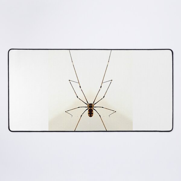 Item preview, Spider Logo (Edited) designed and sold by Uzeir.