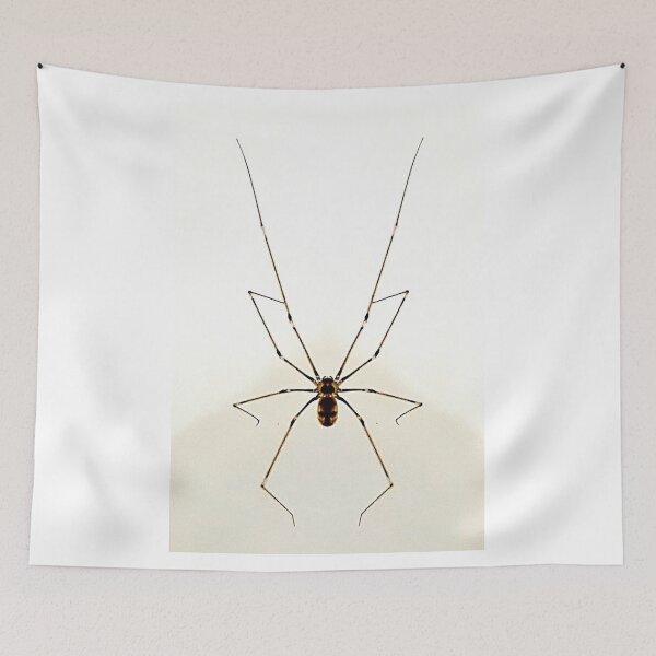 Item preview, Spider Logo (Edited) designed and sold by Uzeir.