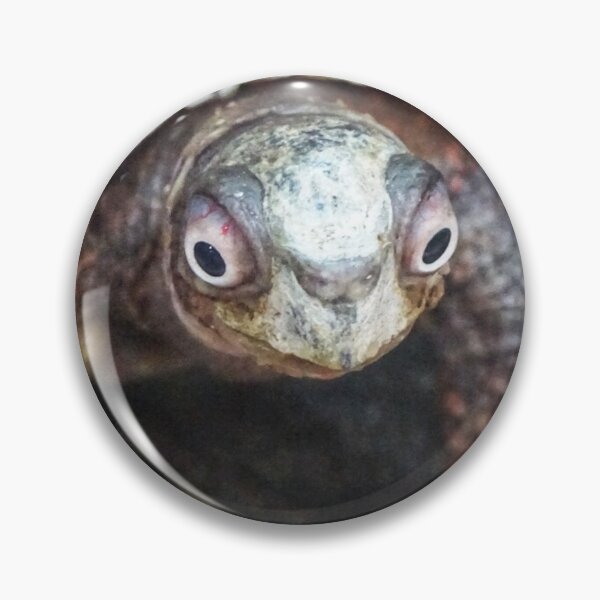 Item preview, Black-breasted Leaf Turtle designed and sold by Dead-Moroz.