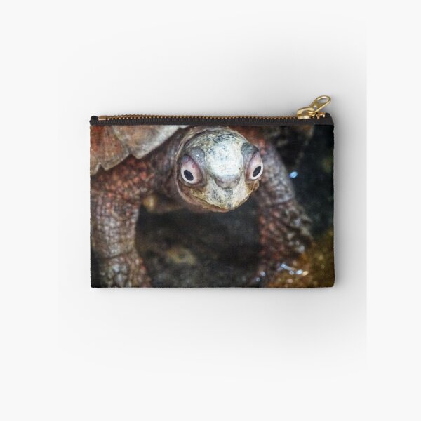 Item preview, Black-breasted Leaf Turtle designed and sold by Dead-Moroz.
