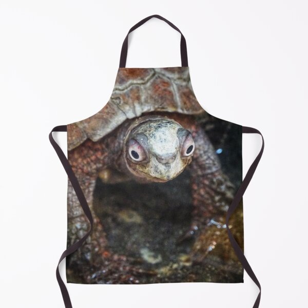 Item preview, Black-breasted Leaf Turtle designed and sold by Dead-Moroz.