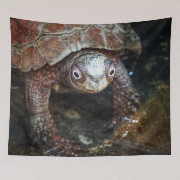 Item preview, Black-breasted Leaf Turtle designed and sold by Dead-Moroz.