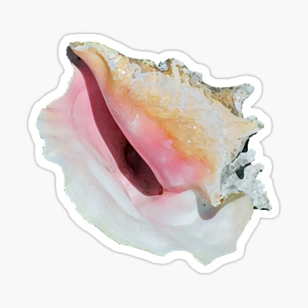 Item preview, Watercolor Conch designed and sold by Shaney442.