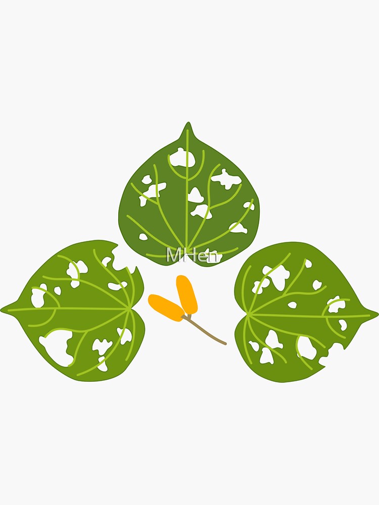 "Kawakawa leaves with Takawa" Sticker for Sale by MHen Redbubble