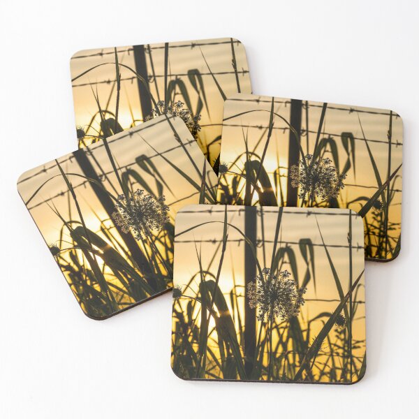 Item preview, Queen's Anne's Lace Sunrise Silhouette designed and sold by mljdwhite.