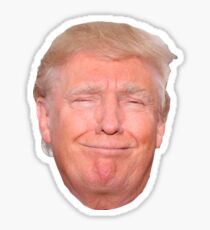 Donald Trump Face Sticker