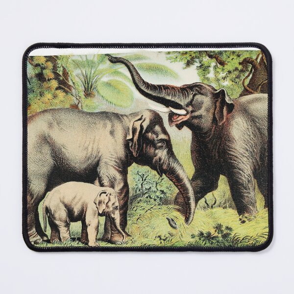 Item preview, Asiatic elephant from Johnson's Household Book of Nature  designed and sold by DiazTv.