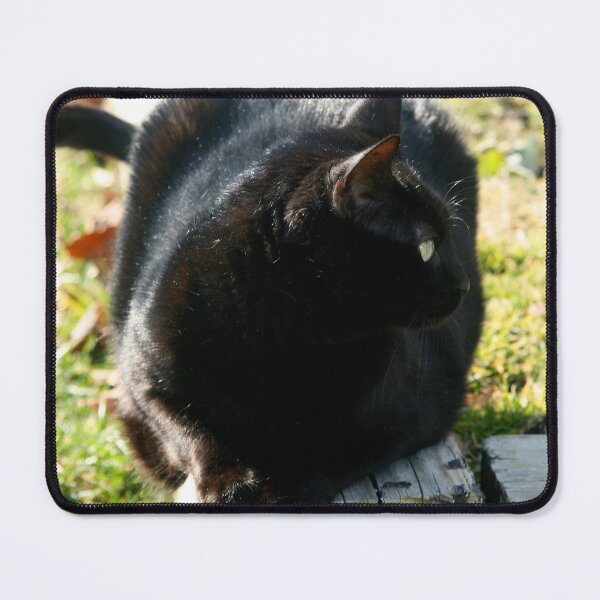 Item preview, Casual Ebony  designed and sold by Bill Spengler's Photographic Thoughts.