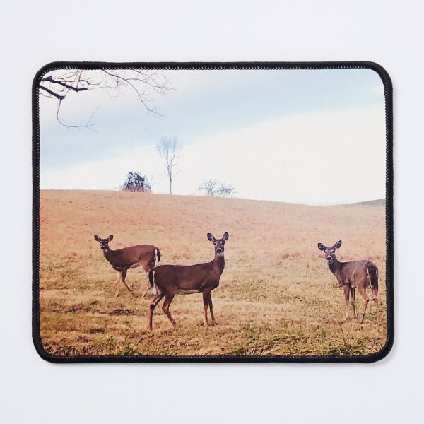 Item preview, Whitetail Deer designed and sold by Wildwood Flower Photography Co. by Tamara Black.