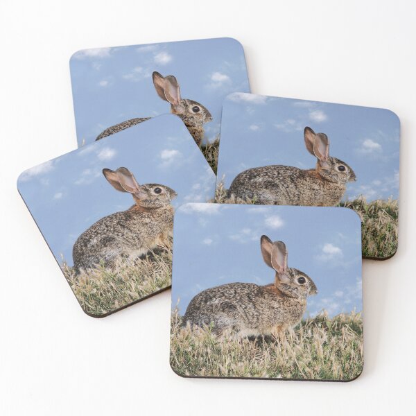 Item preview, Wild Bunny Listening.... designed and sold by heatherfriedman.