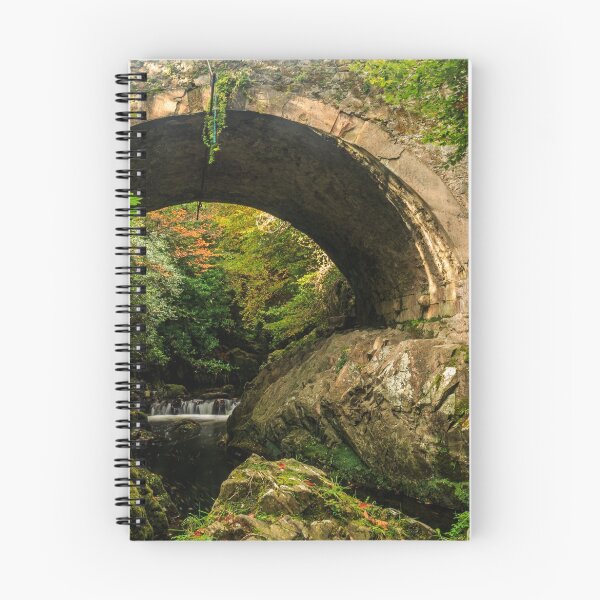 Item preview, The Old Bridge, Tollymore Forest Park designed and sold by Adrian McGlynn.