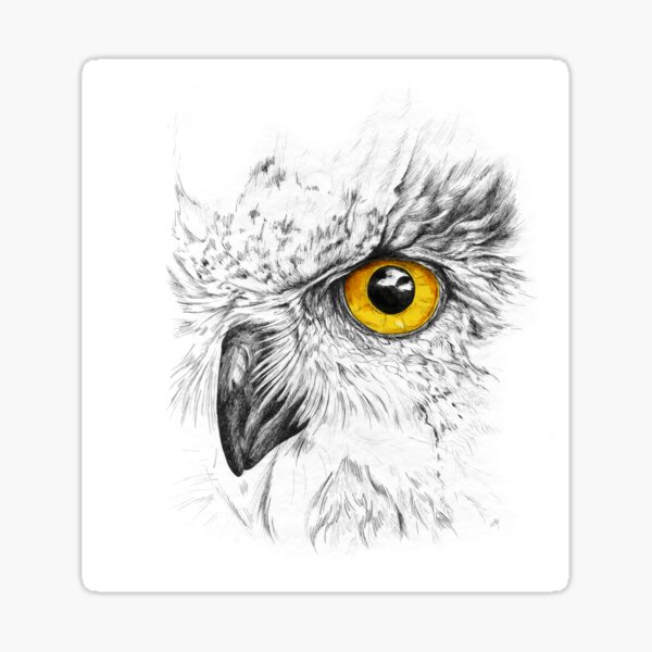 The Orange Eye Sticker