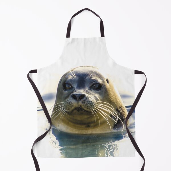 Item preview, Focused Seal designed and sold by Oliveirallan.