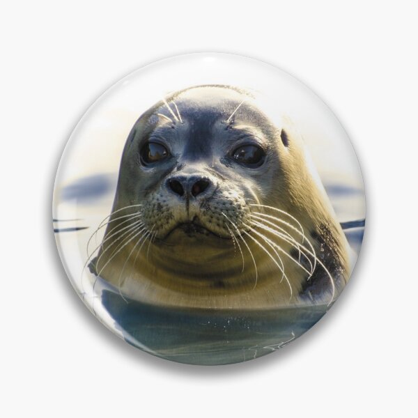 Item preview, Focused Seal designed and sold by Oliveirallan.