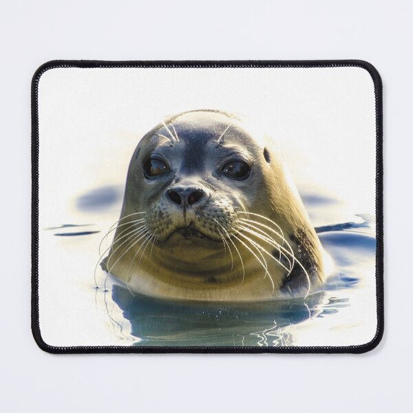 Item preview, Focused Seal designed and sold by Oliveirallan.