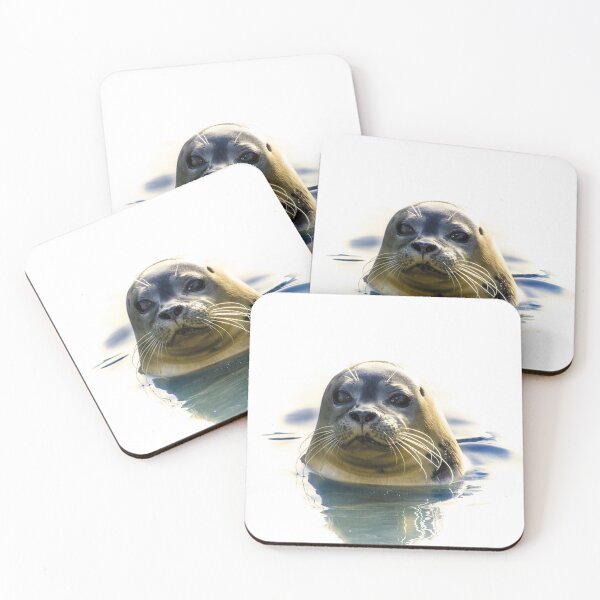 Item preview, Focused Seal designed and sold by Oliveirallan.