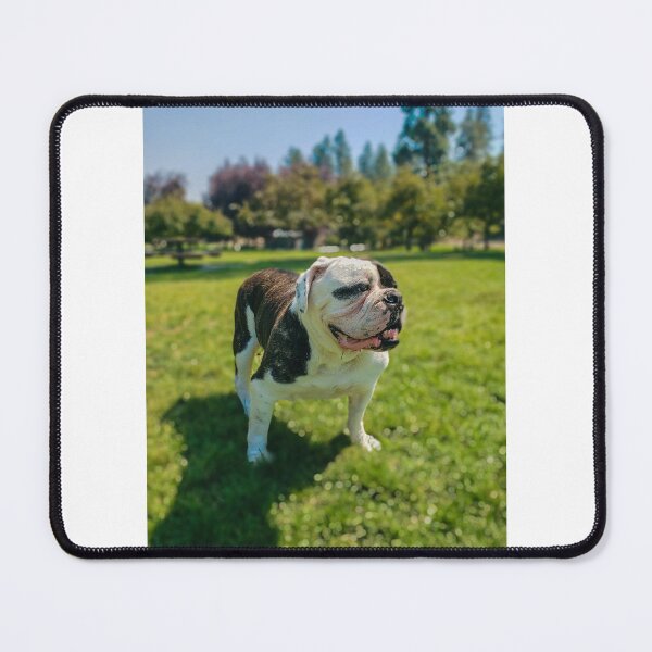 Item preview, Roscoe good boy designed and sold by Chris Tipton.