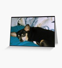 Sweet Missy Girl Greeting Card