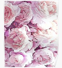Roses Poster