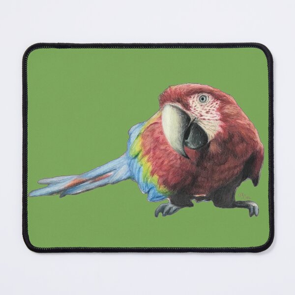 Item preview, Scarlet Macaw parrot- birds lover sticker designed and sold by NathBros.