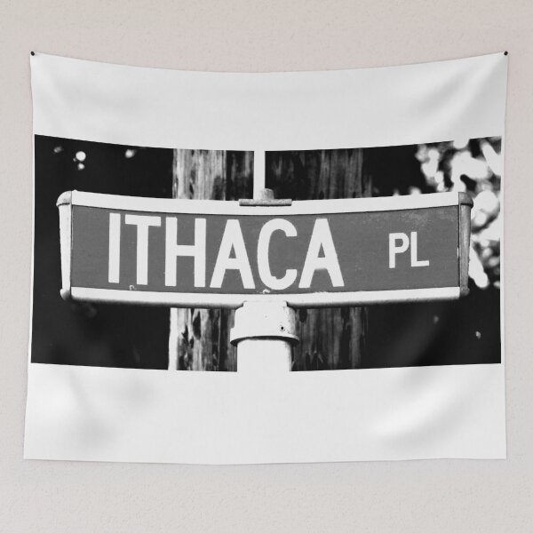 Item preview, A Street Sign Named Ithaca designed and sold by jcwest.