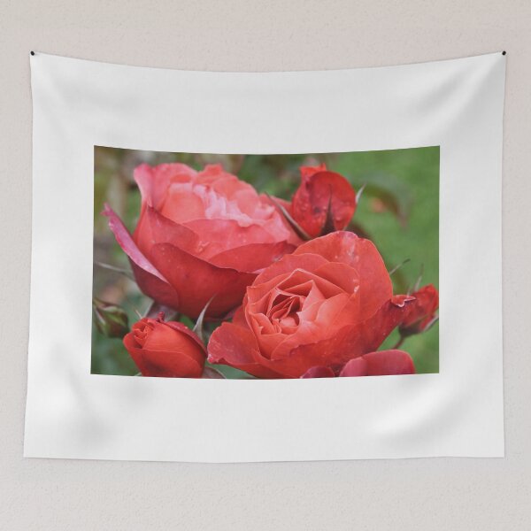 Item preview, Open Roses designed and sold by melips.