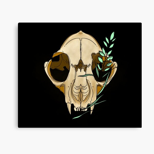 Feline Skull Canvas Print