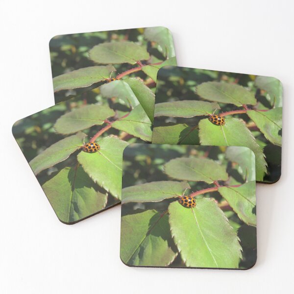 Item preview, Large spotted ladybird designed and sold by greentiger1.
