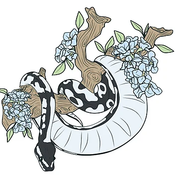 Artwork thumbnail, Ball Python On Branch Design by AMackInCheese