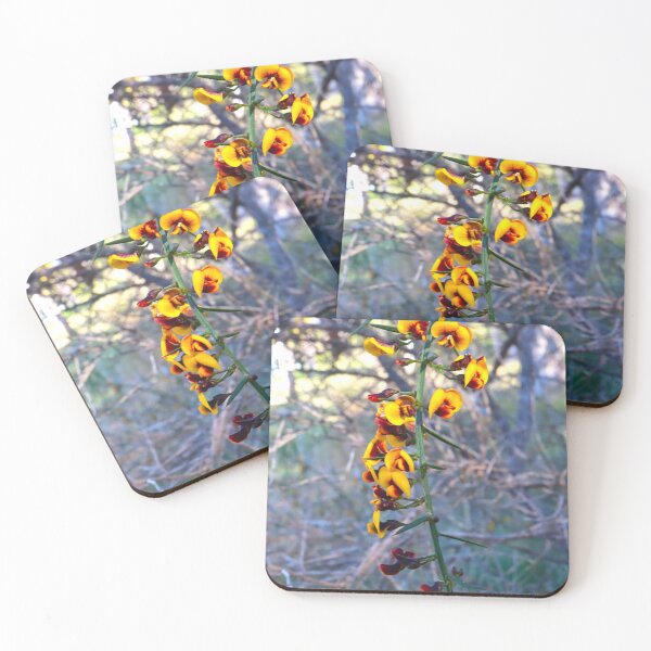 Item preview, Australian Egg and Bacon Flowers designed and sold by bradm50.