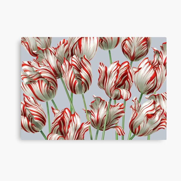 Item preview, Tulipomania - The Semper Augustus designed and sold by Iker Paz Studio.