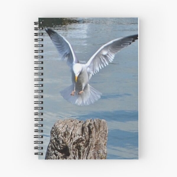 Item preview, Landing Gear Down designed and sold by lynn carter.