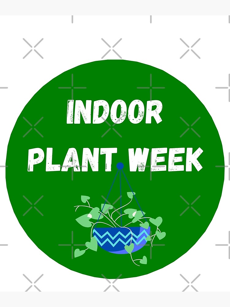 "National Indoor Plant Week" Poster for Sale by CelebrateDaily Redbubble