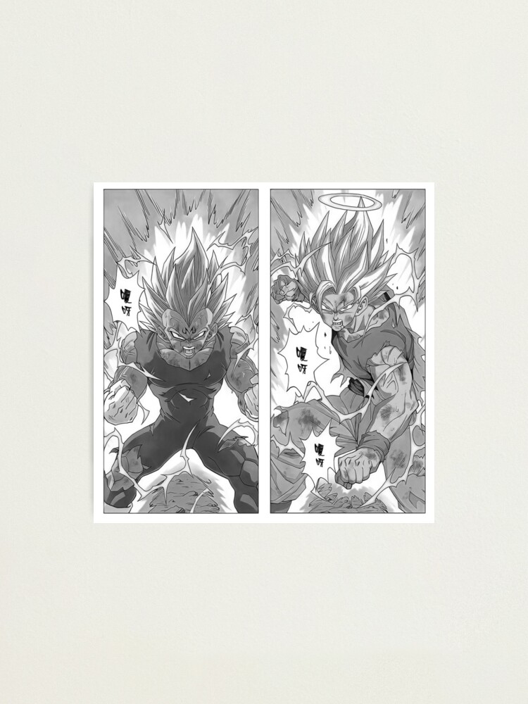 Dragon Ball Z Goku VS Frieza Manga Panel Photographic Print for Sale by  TorGraphix