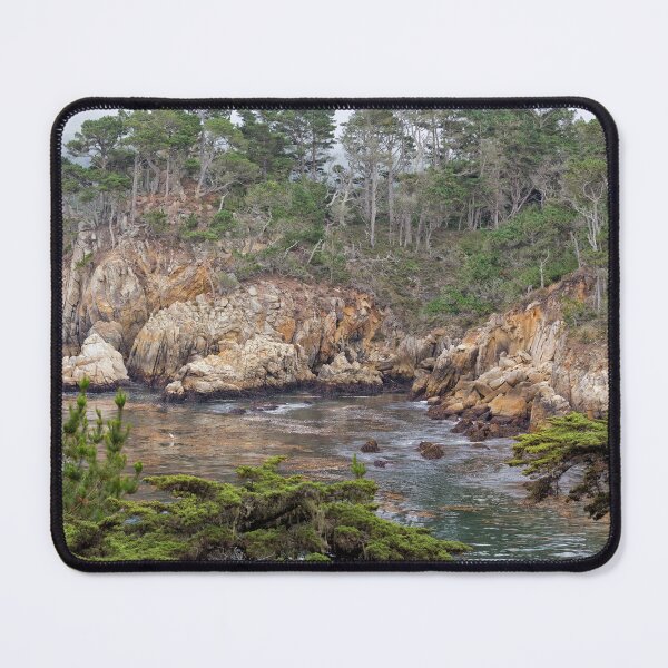 Item preview, Bluefish Cove designed and sold by Yair Karelic.