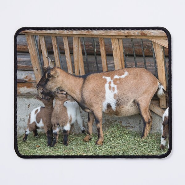 Item preview, The Goat Family designed and sold by Yair Karelic.