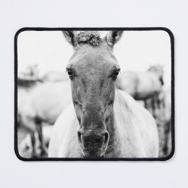Item preview, portrait of a konik horse designed and sold by Ronenvief.