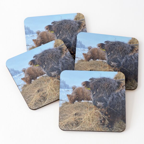 Item preview, Scottish Highland Cattle Caves in snow 2733 designed and sold by SaarelaHighland.